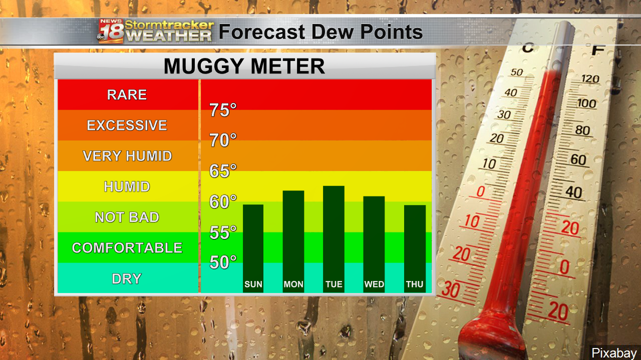 Meteogram Bars - Dew Point Forecast qo.png